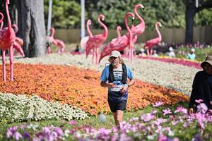 BIB: 
                            <button type="button" onclick="openModal(27793468)" class="btn btn-primary btn-sm float-right btn-popup" data-toggle="modal" data-target=".modal-high-quality">
                        <i class="fas fa-shopping-cart"></i> Add to Cart
                    </button>
                                            <button type="button" onclick="isThisMe(27793468, true)" class="btn btn-success btn-sm float-right btn-popup btn-isme hidden" data-toggle="tooltip" data-placement="bottom" title="นี่คือรูปของคุณใช่ไหม คลิกที่นี่เพื่อเอาเข้าอัลบั้ม">
                        <i class="fas fa-plus"></i> Add to album
                    </button>
                    <button type="button" onclick="isThisMe(27793468, false)" class="btn btn-warning btn-sm float-right btn-popup btn-isnotme hidden">
                        <i class="fas fa-ban"></i> Remove from album
                    </button>